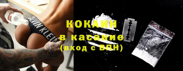 МДПВ Пестово