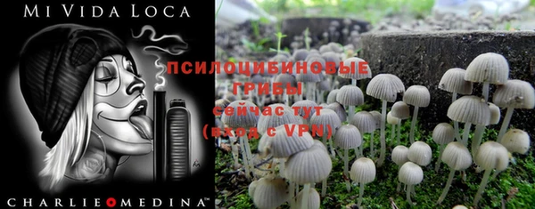 MDMA Premium VHQ Пересвет