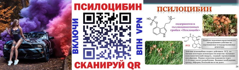 kraken как войти  Орехово-Зуево  Галлюциногенные грибы Psilocybe 