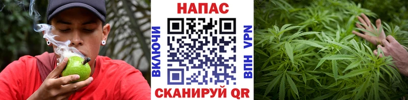 darknet как зайти где найти наркотики Орехово-Зуево Марихуана Bruce Banner